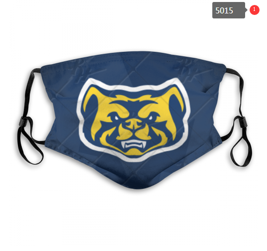 NCAA Michigan Wolverines #1 Dust mask with filter